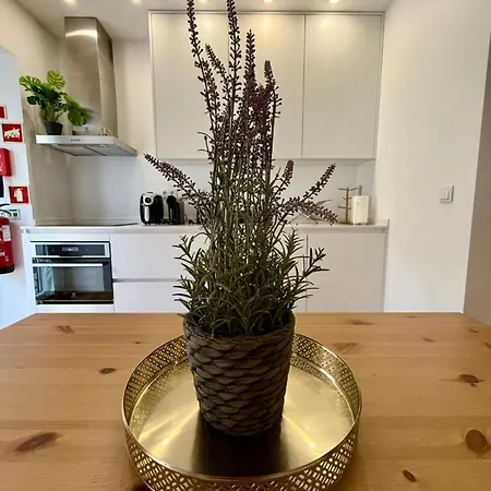 Em Apartment